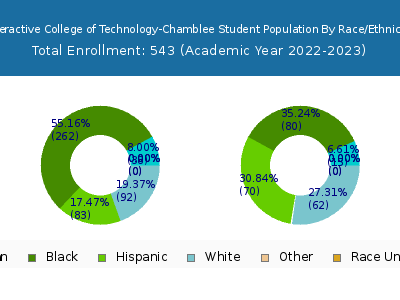 Interactive College of Technology-Chamblee 2023 Student Population by Gender and Race chart