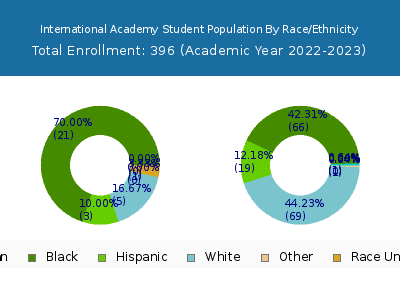 International Academy 2023 Student Population by Gender and Race chart