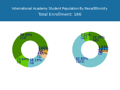 International Academy 2025 Student Population by Gender and Race chart