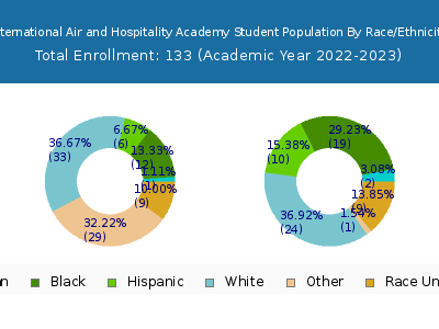 International Air and Hospitality Academy 2023 Student Population by Gender and Race chart