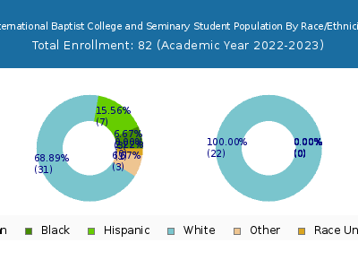 International Baptist College and Seminary 2023 Student Population by Gender and Race chart
