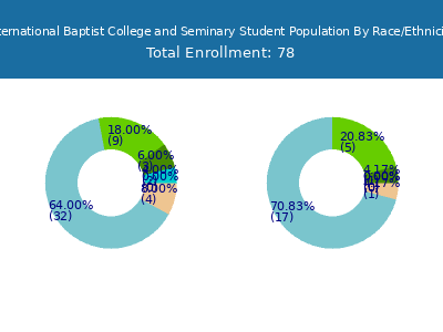 International Baptist College and Seminary 2025 Student Population by Gender and Race chart