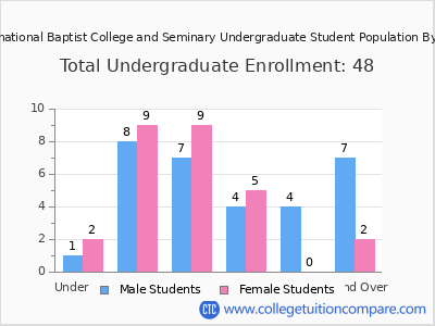 International Baptist College and Seminary 2024 Undergraduate Enrollment by Age chart