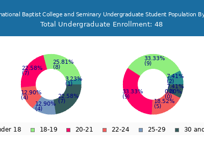 International Baptist College and Seminary 2024 Undergraduate Enrollment Age Diversity Pie chart