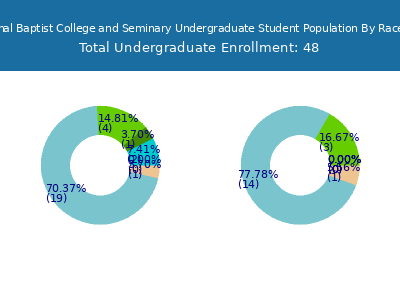 International Baptist College and Seminary 2025 Undergraduate Enrollment by Gender and Race chart
