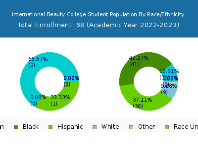International Beauty College 2023 Student Population by Gender and Race chart