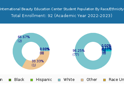 International Beauty Education Center 2023 Student Population by Gender and Race chart