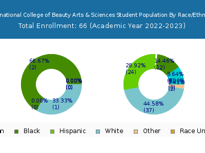 International College of Beauty Arts & Sciences 2023 Student Population by Gender and Race chart