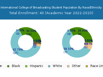 International College of Broadcasting 2023 Student Population by Gender and Race chart