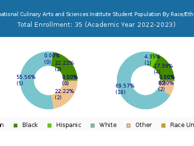 International Culinary Arts and Sciences Institute 2023 Student Population by Gender and Race chart