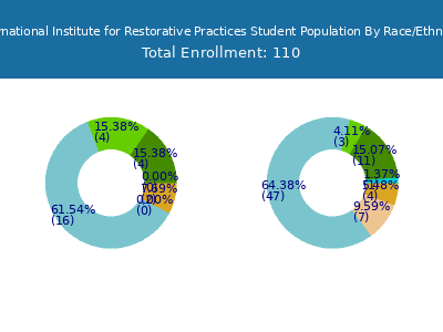 International Institute for Restorative Practices 2025 Student Population by Gender and Race chart