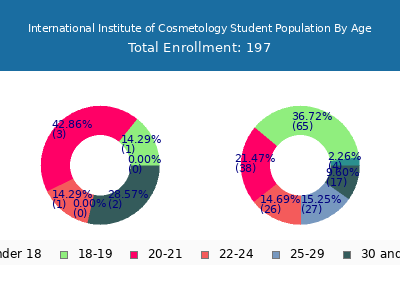 International Institute of Cosmetology 2024 Student Population Age Diversity Pie chart