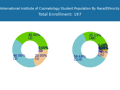 International Institute of Cosmetology 2025 Student Population by Gender and Race chart