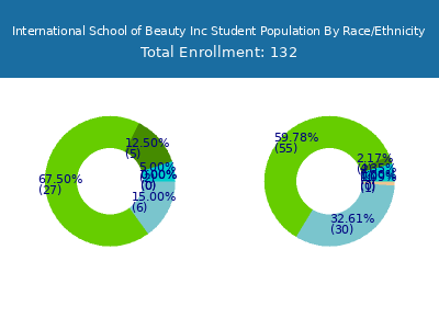 International School of Beauty Inc 2025 Student Population by Gender and Race chart