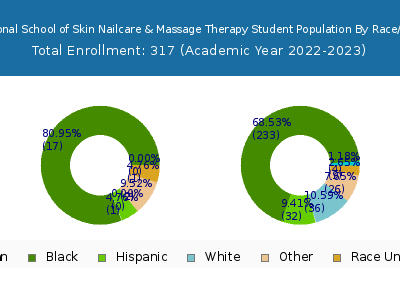 International School of Skin Nailcare & Massage Therapy 2023 Student Population by Gender and Race chart