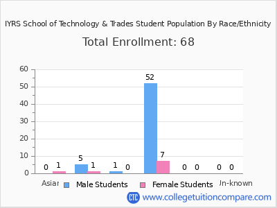 IYRS School of Technology & Trades 2025 Student Population by Gender and Race chart