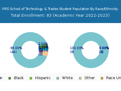 IYRS School of Technology & Trades 2023 Student Population by Gender and Race chart