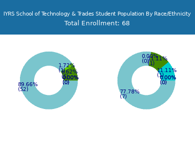 IYRS School of Technology & Trades 2025 Student Population by Gender and Race chart