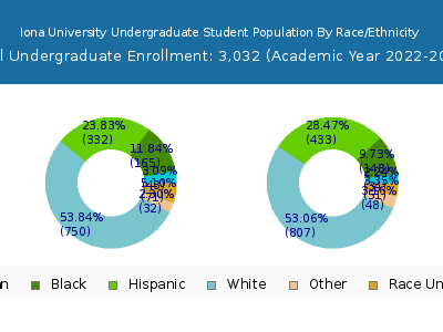 Iona University 2023 Undergraduate Enrollment by Gender and Race chart