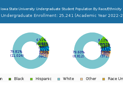 Iowa State University 2023 Undergraduate Enrollment by Gender and Race chart