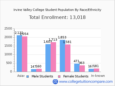 Irvine Valley College 2025 Student Population by Gender and Race chart