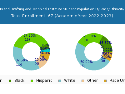 Island Drafting and Technical Institute 2023 Student Population by Gender and Race chart