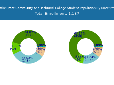 J. F. Drake State Community and Technical College 2025 Student Population by Gender and Race chart