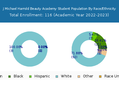J Michael Harrold Beauty Academy 2023 Student Population by Gender and Race chart