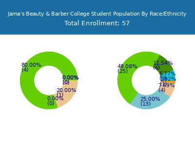 Jama's Beauty & Barber College 2025 Student Population by Gender and Race chart