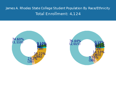 James A. Rhodes State College 2025 Student Population by Gender and Race chart