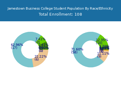 Jamestown Business College 2025 Student Population by Gender and Race chart