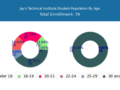Jay's Technical Institute 2024 Student Population Age Diversity Pie chart