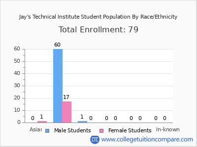 Jay's Technical Institute 2025 Student Population by Gender and Race chart