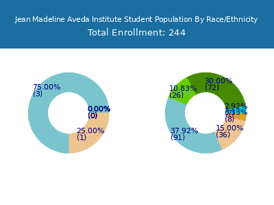 Jean Madeline Aveda Institute 2025 Student Population by Gender and Race chart