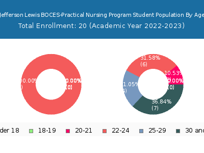 Jefferson Lewis BOCES-Practical Nursing Program 2023 Student Population Age Diversity Pie chart