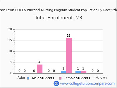 Jefferson Lewis BOCES-Practical Nursing Program 2025 Student Population by Gender and Race chart