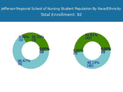 Jefferson Regional School of Nursing 2025 Student Population by Gender and Race chart