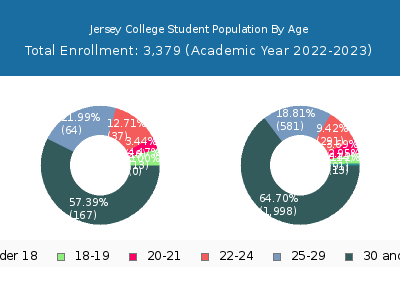 Jersey College 2023 Student Population Age Diversity Pie chart