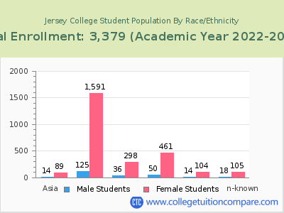Jersey College 2023 Student Population by Gender and Race chart
