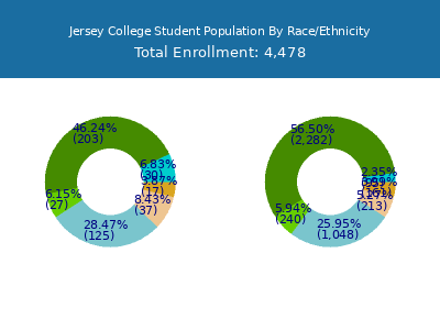 Jersey College 2025 Student Population by Gender and Race chart