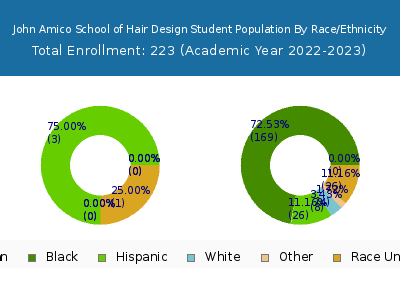 John Amico School of Hair Design 2023 Student Population by Gender and Race chart