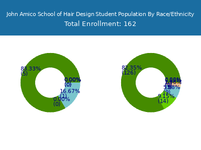 John Amico School of Hair Design 2025 Student Population by Gender and Race chart