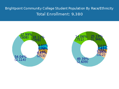 Brightpoint Community College 2025 Student Population by Gender and Race chart