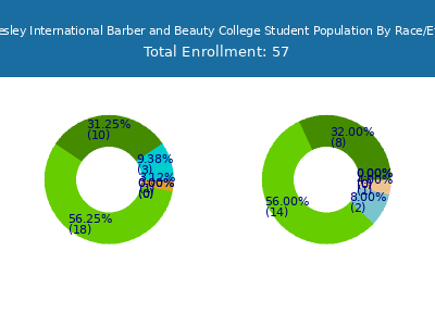 John Wesley International Barber and Beauty College 2025 Student Population by Gender and Race chart