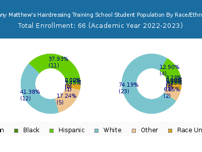 Johnny Matthew's Hairdressing Training School 2023 Student Population by Gender and Race chart