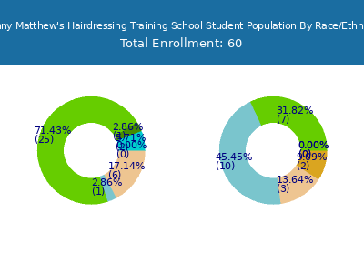 Johnny Matthew's Hairdressing Training School 2025 Student Population by Gender and Race chart
