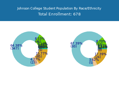 Johnson College 2025 Student Population by Gender and Race chart