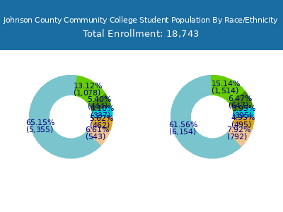 Johnson County Community College 2025 Student Population by Gender and Race chart