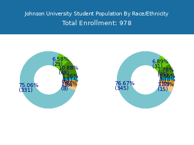 Johnson University 2025 Student Population by Gender and Race chart