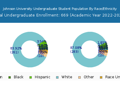 Johnson University 2023 Undergraduate Enrollment by Gender and Race chart